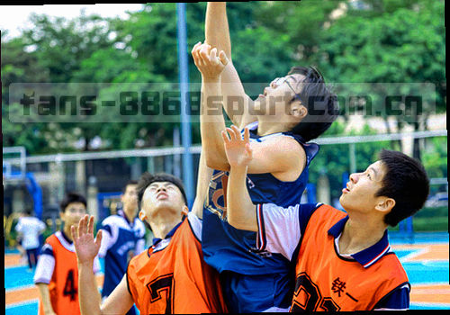 计算机屏幕上的8868体育官方版界面，显示赛事数据与比分